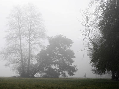 Samotny we mgle